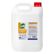 Ополаскиватель для посудомоечных и таромоечных машин 5л Сиф Professional концентрированный, низкопенный