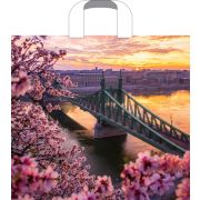 Пакет ПЭ с петлевой ручкой 38х34+3см (70) (Дунай) Артпласт (х50/500)