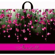 Пакет ПЭ с петлевой ручкой 60х50+6см (70) (Анабель) Интерпак (х25/250)