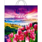 Пакет ПЭ с петлевой ручкой 38х42+6см (40) ПНД (Просторы) Интерпак (х25/500)