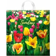 Пакет ПЭ с петлевой ручкой 40х42+6см (50) (Поле тюльпанов) Интерпак (х25/500)