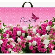 Пакет ПЭ с петлевой ручкой 60х50+6см (70) (Овация) Интерпак (х25/250)