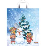 Пакет ПЭ с петлевой ручкой 43.5х38см (35) (Волшебный момент) НГ Тико (х50/500)