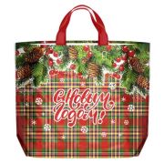 Пакет ПЭ с петлевой ручкой 50х40+20см (160) ПВД (Колорит) НГ, ЭКО сумка Интерпак (х10/100)