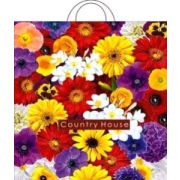 Пакет ПЭ с петлевой ручкой 38х42+6см (40) ПНД (Дача) Интерпак (х25/500)