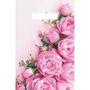 Пакет с вырубной неусиленной ручкой 20х30см (30) (Ненси) Артпласт (х100/3000)