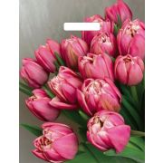 Пакет с вырубной ручкой 31х40см (60) (Стелла) Глянцевый Артпласт (х50/1000)