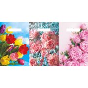 Пакет ПЭ с вырубной неусиленной ручкой 20х30см (30) «Ассорти» Артпласт (х100/3000)