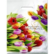 Пакет ПЭ с вырубной ручкой 31х40см (60) (Этюд) ламинированный Интерпак (х50/500)