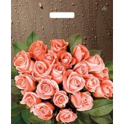 Пакет ПЭ с вырубной ручкой 38х45+6см (60) (Розы после дождя) Глянцевый Тико (х50/500)