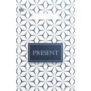 Пакет ПЭ с вырубной неусиленной ручкой 20х30см (30) (Презент стиль) Тико (х100/3000)