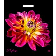 Пакет ПЭ с вырубной ручкой 48x42см+3см (90) (Перфекто Герцогиня) Тико (х25/300)