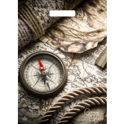 Пакет ПЭ с вырубной ручкой 31.5х43см (50) (Грэй Глосс Карта) ламинированный Тико (х50/500)