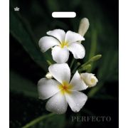 Пакет ПЭ с вырубной ручкой 48x42+3см (90) (Перфекто Плюмерия) Тико (х25/300)