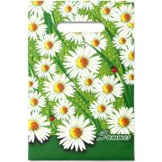 Пакет ПЭ с вырубной неусиленной ручкой 20х30см (30) (Лето) Интерпак (х100/2000)