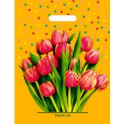 Пакет ПЭ с вырубной ручкой 31х40см (60) (Солнечный букет) ламинированный Интерпак (х50/500)