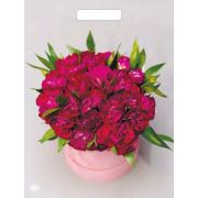 Пакет ПЭ с вырубной ручкой 31x40+6см (60) (Букет пионов) Глянцевый Тико (х50/500)