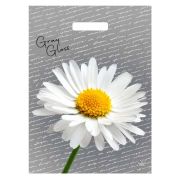 Пакет ПЭ с вырубной ручкой 31.5х43см (50) (Грэй Глосс Ромашка) ламинированный Тико (х50/500)