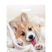 Пакет ПЭ с вырубной ручкой 38х45+3см (60) (Малыш Веня) Ламинированный Тико (х50/500)