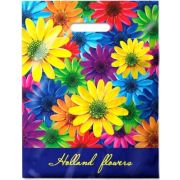 Пакет ПЭ с вырубной ручкой 31х40см (60) (Клумба) ламинированный Интерпак (х50/500)