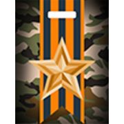 Пакет ПЭ с вырубной ручкой 31x40+6см (60) (Отвага) Глянцевый Тико (х50/500)