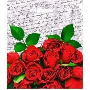 Пакет ПЭ с вырубной ручкой 40х47+6см (45) (Дневник) Интерпак (х50/500)