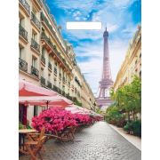 Пакет с вырубной ручкой 31х40см (60) (Париж) Глянцевый Артпласт (х50/1000)