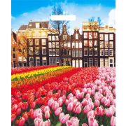 Пакет ПЭ с вырубной ручкой 38х45+3см (60) (Весна в городе) Глянцевый Артпласт (х25/500)