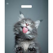 Пакет ПЭ с вырубной ручкой 38х45+3см (60) (Кот) Ламинированный Тико (х50/500)