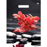 Пакет ПЭ с вырубной ручкой 31х40см (60) (Гармония) ламинированный Тико (х50/500)