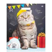 Пакет ПЭ с вырубной ручкой 39х48см (50) (Грэй Глосс Ученый кот) ламинированный Тико (х50/500)