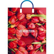 Пакет ПЭ с пластмассовыми ручками 38х45+3см (90) (Совершенство) Глянцевый Артпласт (х5/50)