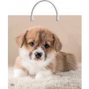 Пакет ПЭ с пластмассовыми ручками 35х36см (85) (Мой дружок) Тико (х10/100)