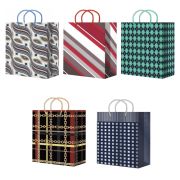 Пакет подарочный 18х23+10см ламинированный (M 201-205) (х10/200) Китай