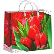 Пакет подарочный 30х30+10см Из мягкого пластика (150) (Браво) Интерпак (х1/10)