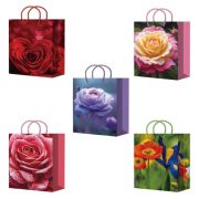 Пакет подарочный 14х20+7см ламинированный (MS25 616-620) (х10/200) Китай