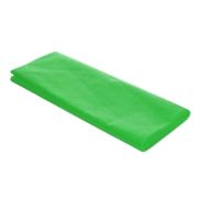 Нетканая скатерть 120х160 см из нетк.матер. (Салатовая) Россия