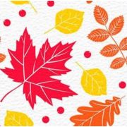 Салфетки 24х24см (Лист) 1 слойные, 50 листов Семья и Комфорт (х1/60)